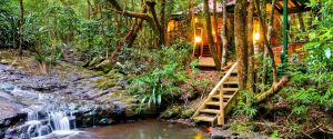 The Mouses House - Rainforest Retreat - Accommodation Main Beach
